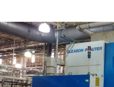Gleason P (2009)