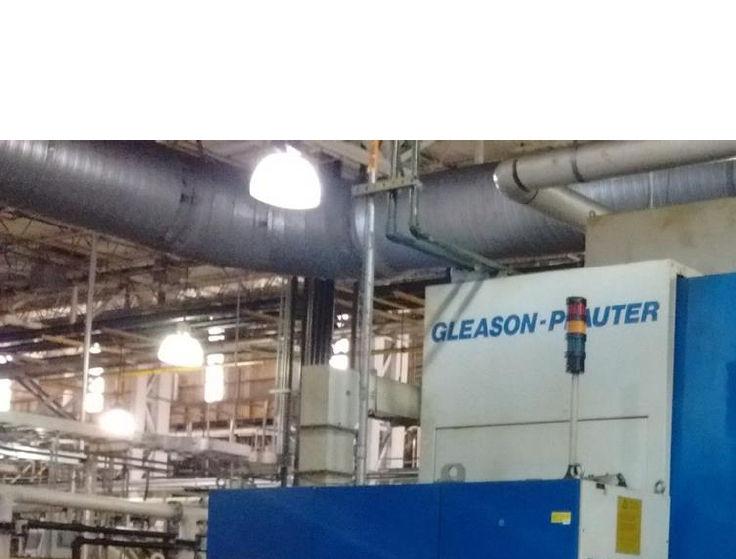 Gleason P (2009)