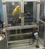 Fanuc LR (2010)
