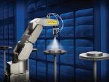 Fanuc PAINT