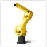 Fanuc M20i