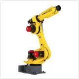 Fanuc M-800iA